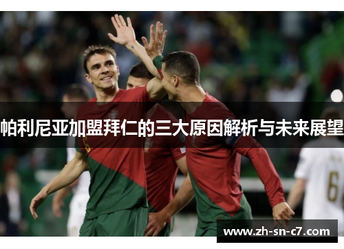 帕利尼亚加盟拜仁的三大原因解析与未来展望