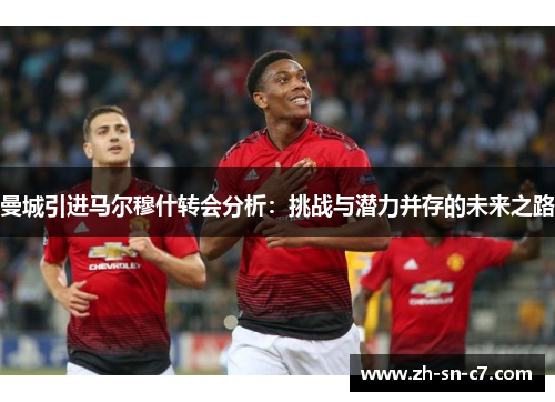 曼城引进马尔穆什转会分析:挑战与潜力并存的未来之路 曼城引进马尔穆什转会分析:挑战与潜力并存的未来之路
