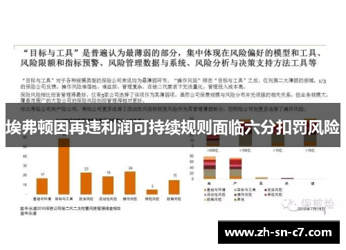 埃弗顿因再违利润可持续规则面临六分扣罚风险 埃弗顿因再违利润可持续规则面临六分扣罚风险