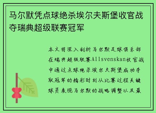 马尔默凭点球绝杀埃尔夫斯堡收官战夺瑞典超级联赛冠军 马尔默凭点球绝杀埃尔夫斯堡收官战夺瑞典超级联赛冠军